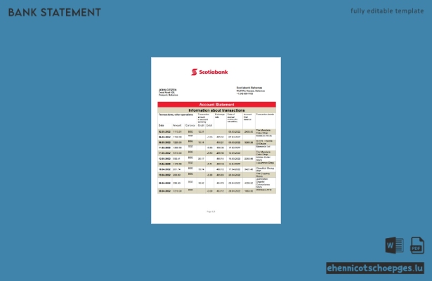 Beispiel eines Kontoauszugs der Bahamas Scotiabank (Wortvorschau)
